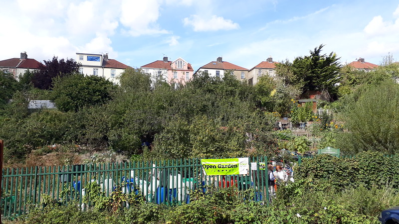 Royate Hill Community Orchards (photo by Jo Pengilley)