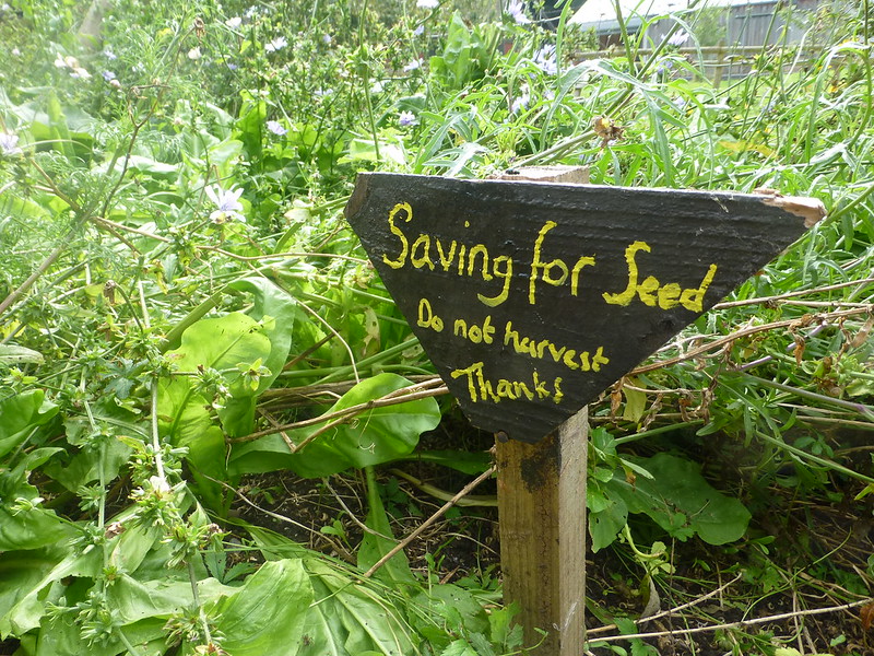 'Saving for Seed' sign