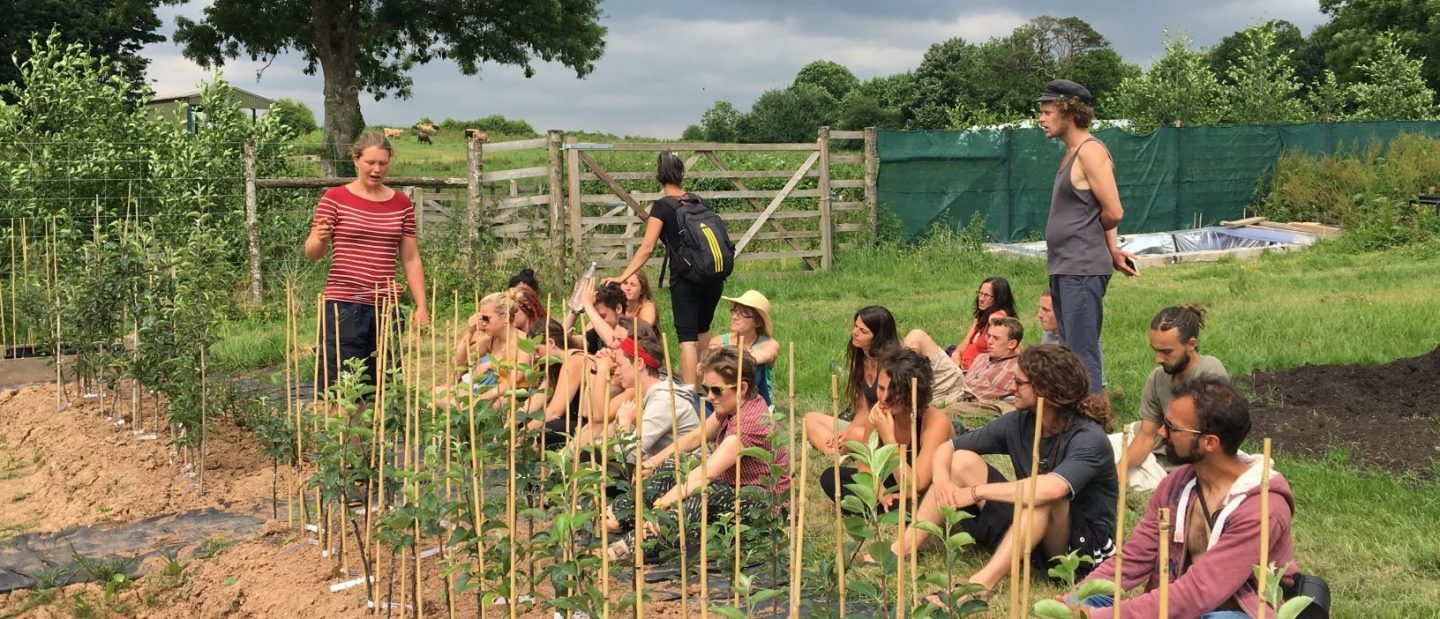 Students on the Practical Sustainability Course staking plants