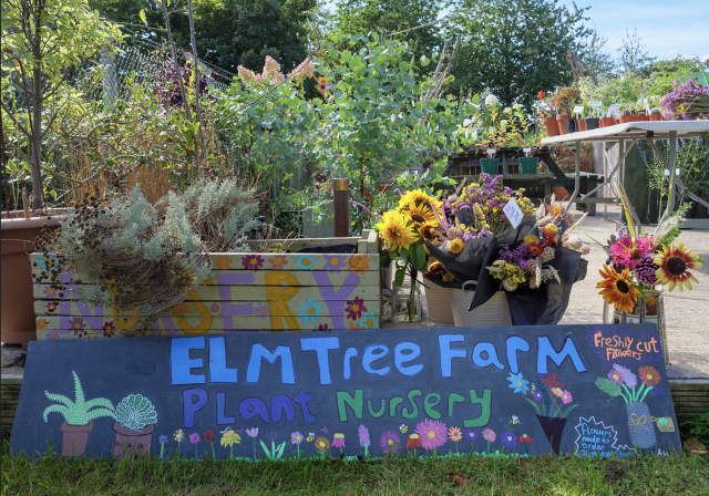 Elm Tree Farm nursery