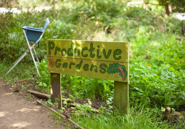 'Productive Gardens' sign (Photo credit: Yasmin Centeno)