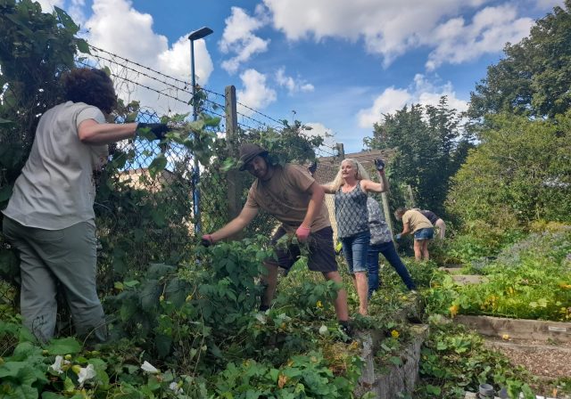 Community gardening at Lockleaze