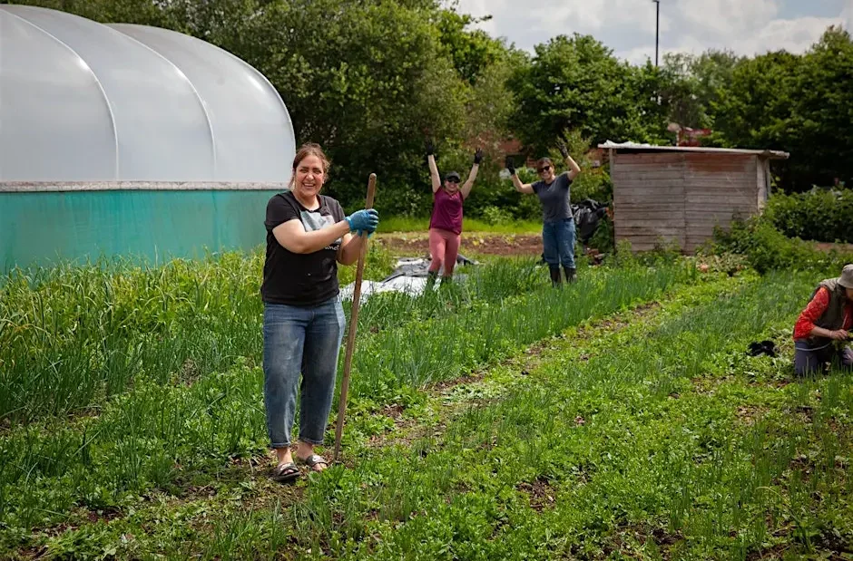 People farming