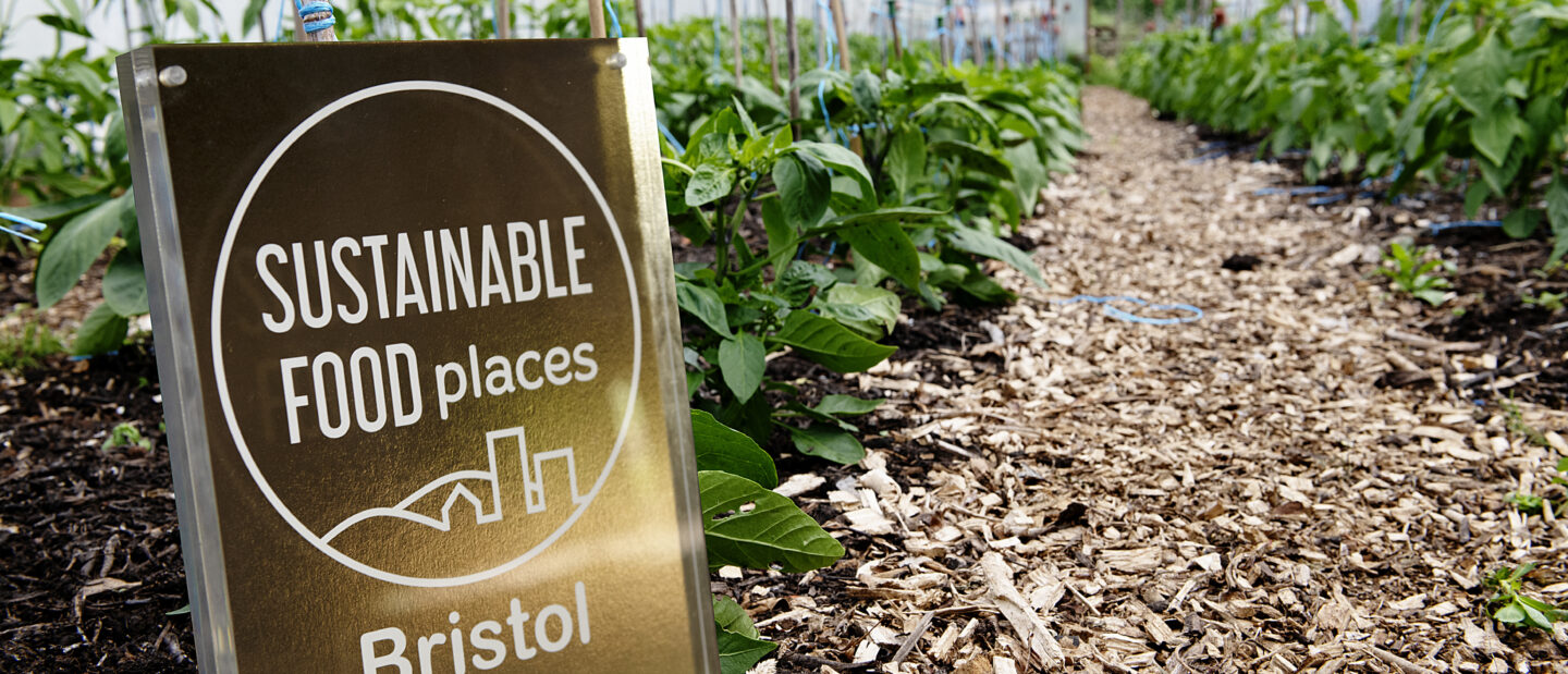 Gold award in a polytunnel!